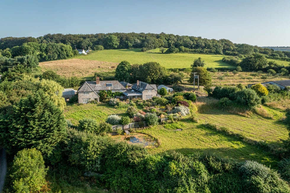 louma dorset
