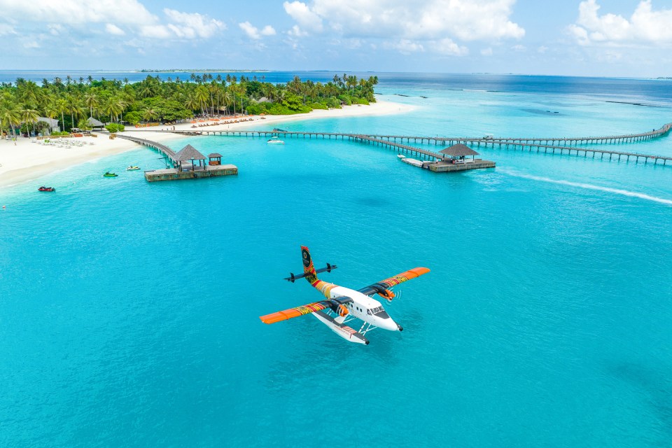 Aerial view of a seaplane over a tropical island resort.