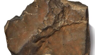 Biggest chunk of Mars on Earth sells for $5.3M at auction • The Register