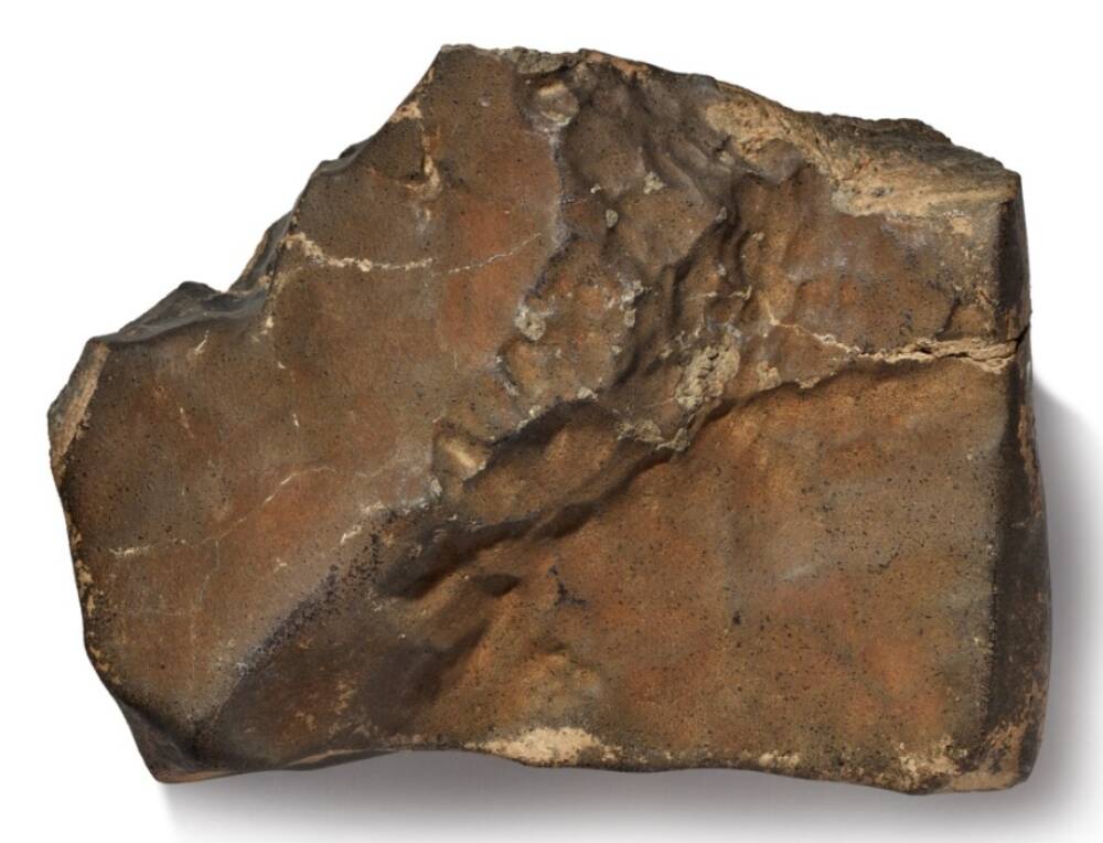Biggest chunk of Mars on Earth sells for $5.3M at auction • The Register
