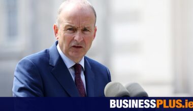 No Brexit-style support for businesses after trade deal