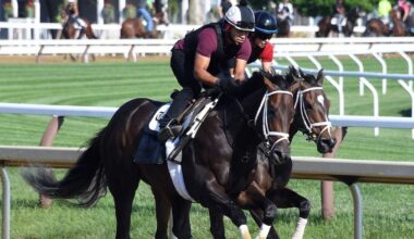 Mindframe returns to work tab at Saratoga Race Course, Fierceness breezes