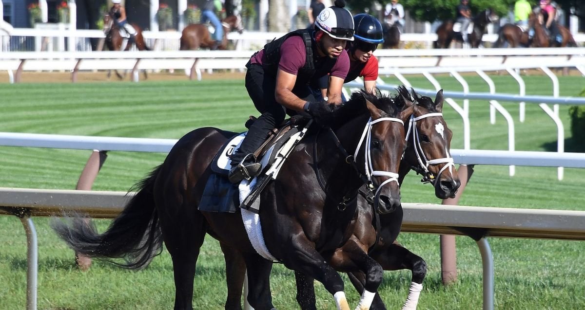 Mindframe returns to work tab at Saratoga Race Course, Fierceness breezes