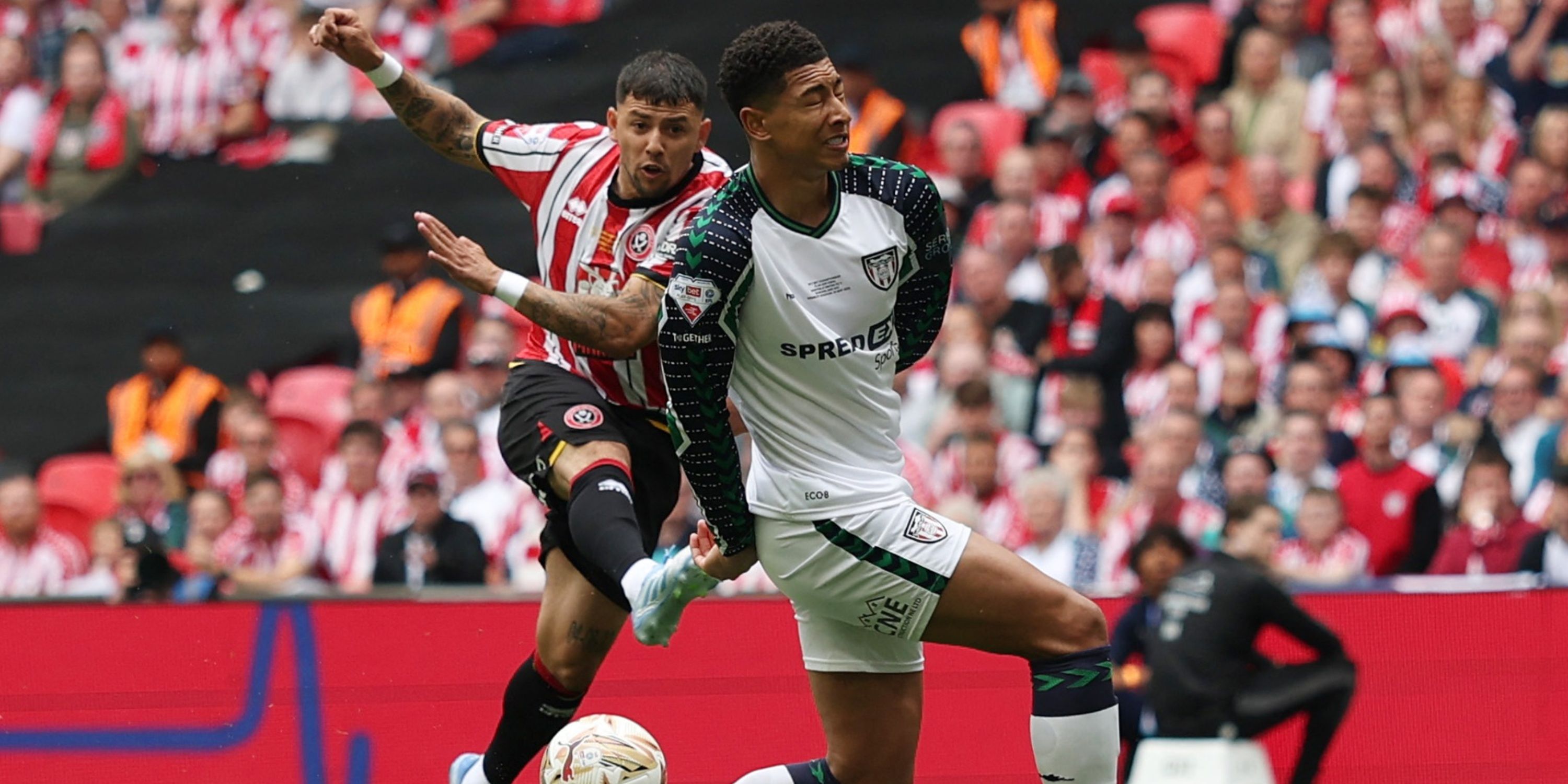gustavo-hamer-sunderland
