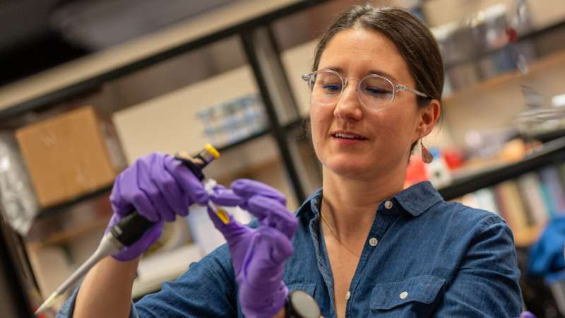 Molecular hope: tiny ocean creatures reveal dual paths to climate resilience