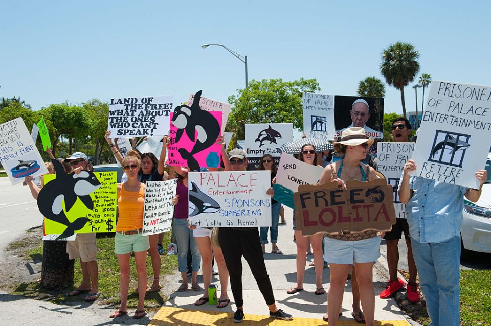 Protestors holding signs advocating for Lolita the whale's release.