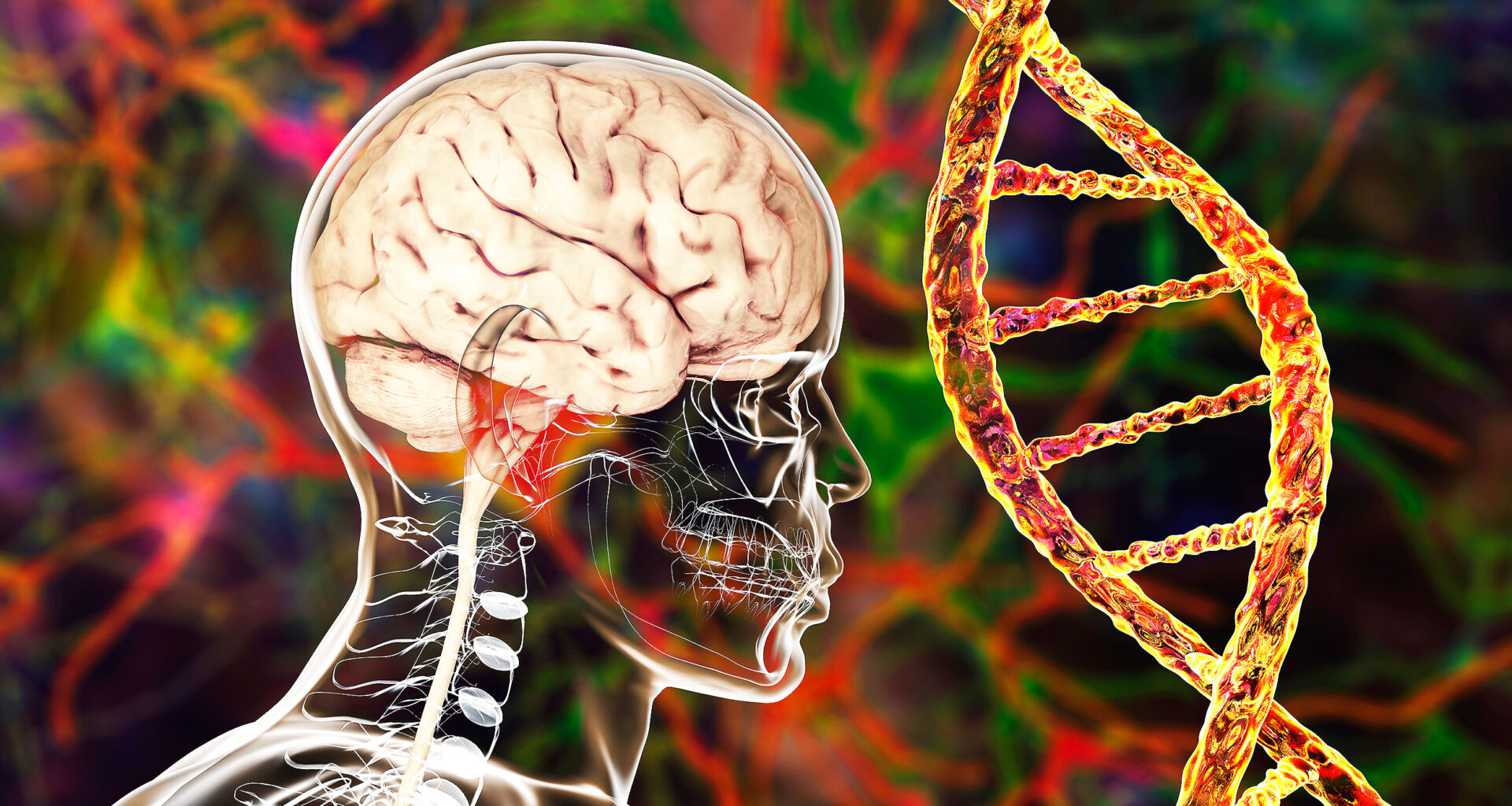 Genetic,Brain,Disorders,,Conceptual,3d,Illustration.,Mutations,In,The,Dna