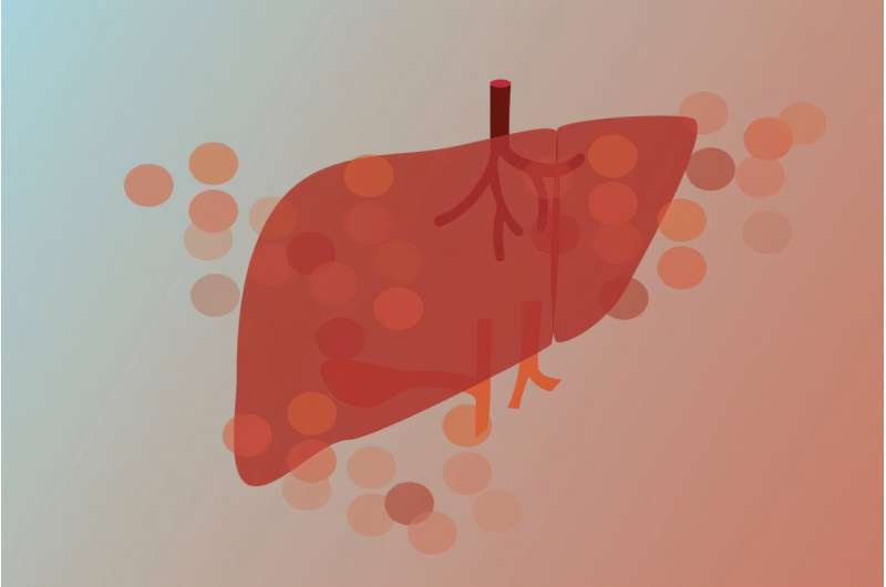 New method combines imaging and sequencing to study gene function in intact tissue