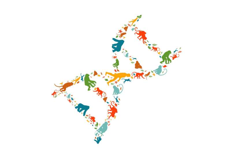 New study reveals hidden regulatory roles of "junk" DNA