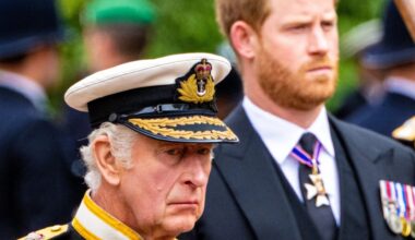 Is the Sussexes' 'hand of friendship' really an attempt to force a wedge between Charles and William?