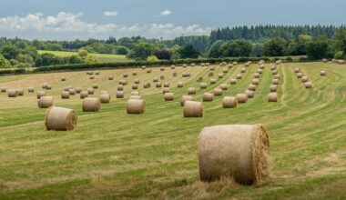 Tir Dyfodol: Building a Rural Wales that Works