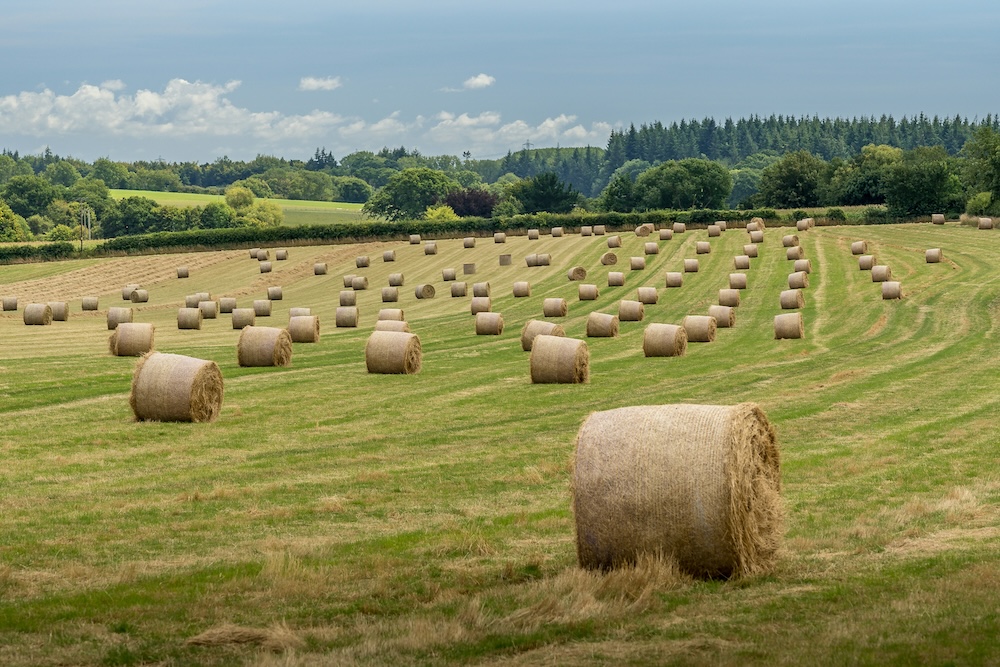 Tir Dyfodol: Building a Rural Wales that Works