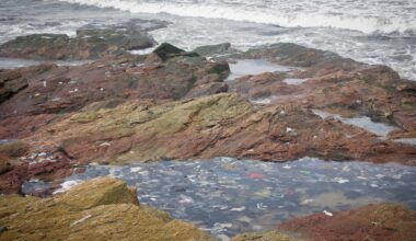 You Don't Want to Know Where Scientists Just Found 27 Million Tons of Plastic
