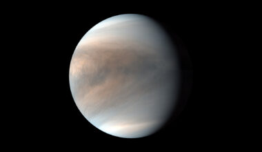 An image of Venus, with brown and gray swirling clouds on its surface