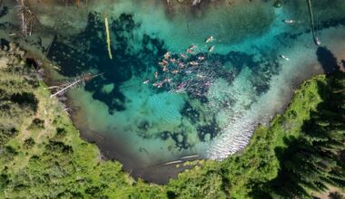 Young indigenous kayakers about to complete historic river journey on Klamath River, after ‘largest dam removal in US history’