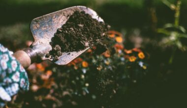 Colmore Square Garden: Volunteer Planting Day