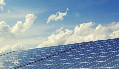 bne IntelliNews - Ecuador to receive $1bn in energy investments from China and Spain