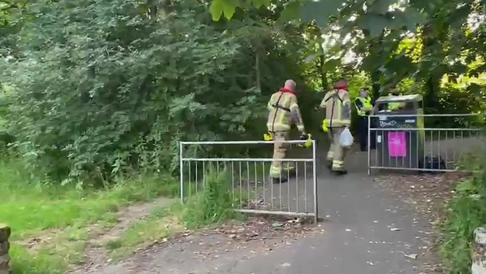 Firefighters near a river.