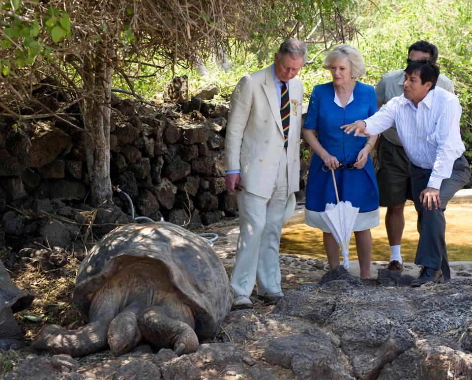 King Charles and Camilla, Duchess of Cornwall, visiting the Charles Darwin Research Centre in the Galapagos Islands and viewing a giant tortoise.