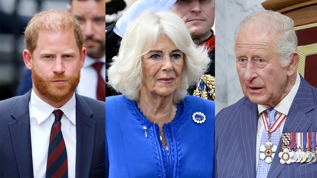 Will Prince Harry Be Included in King Charles' Will Amid Feud?