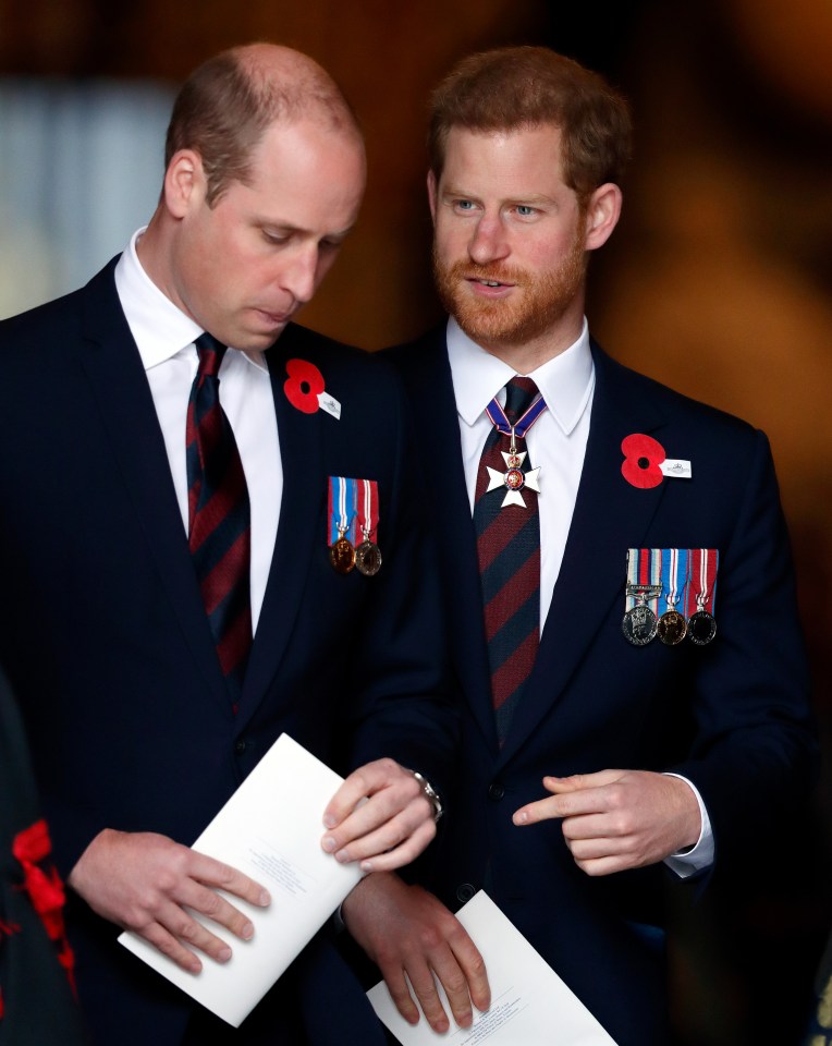Prince William and Prince Harry at an Anzac Day service.