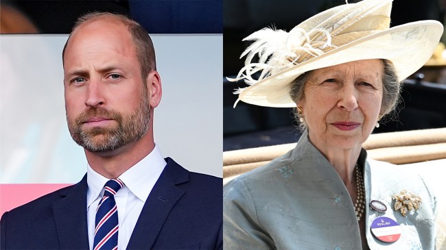 Is Princess Anne Still a Working Royal Amid King Charles' Cancer Diagnosis?