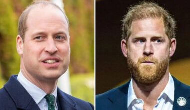 Prince William Will Have Prince Harry 'Cut Out' For Good When He's King