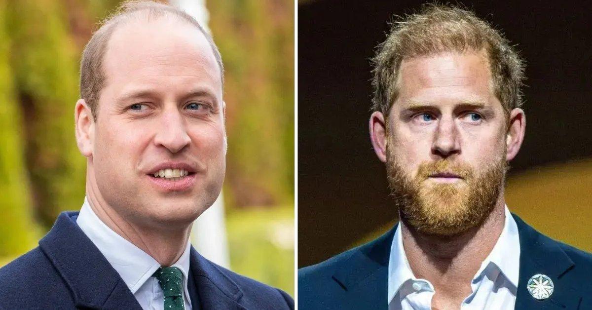 Prince William Will Have Prince Harry 'Cut Out' For Good When He's King