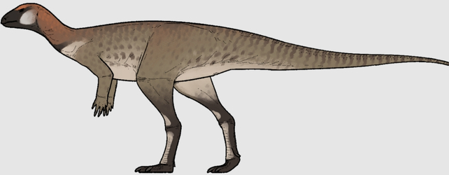 pulaosaurus