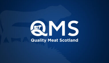 Opportunity to influence the future of Scotland’s red meat…