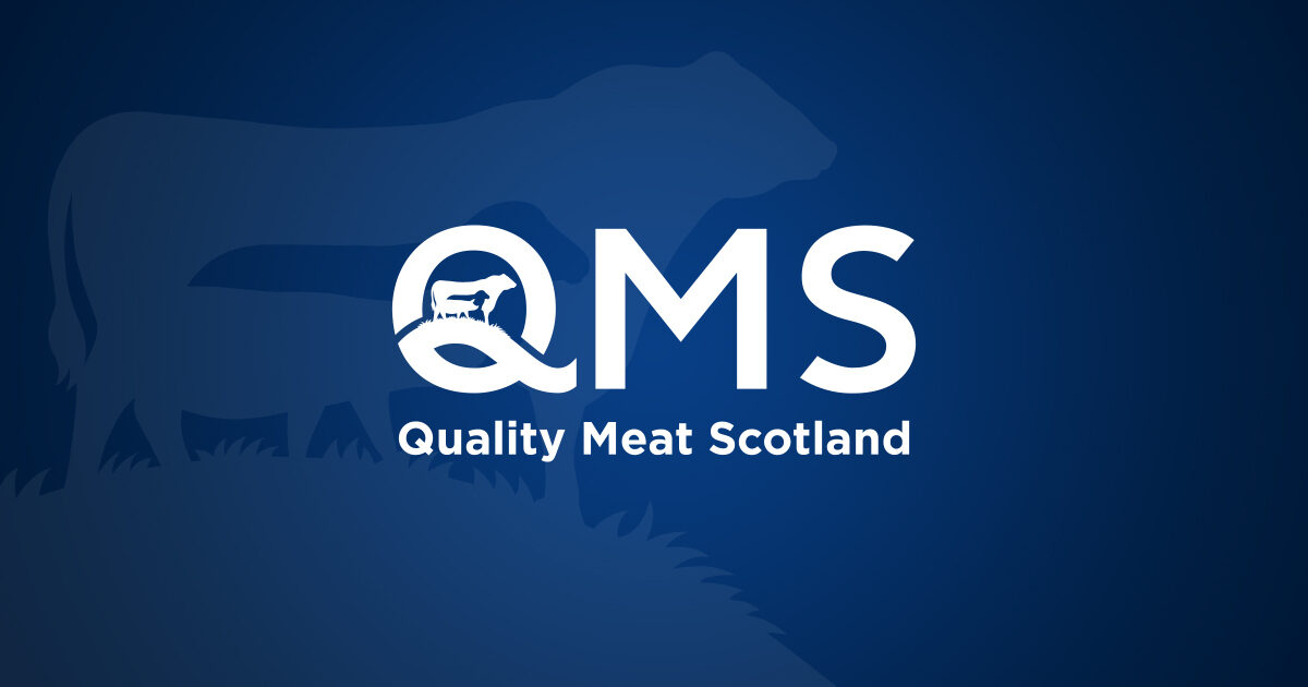 Opportunity to influence the future of Scotland’s red meat…