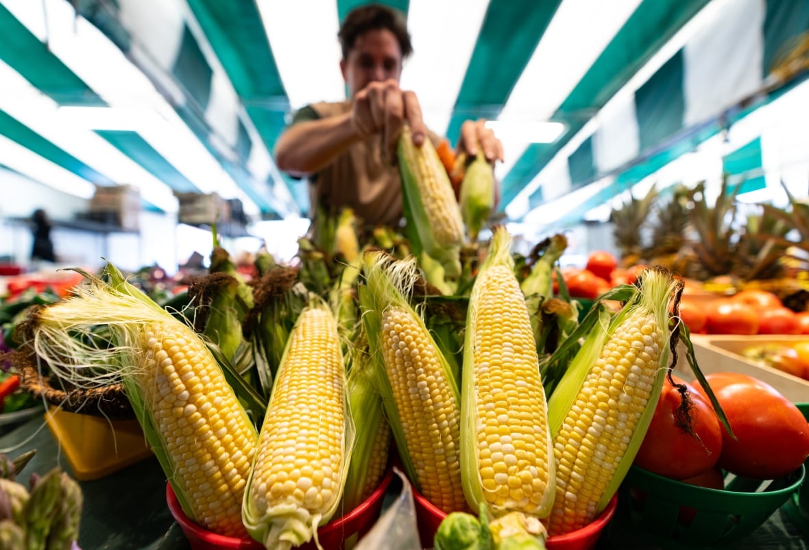 A woman reaches for corn at the Atwater market in Montreal.