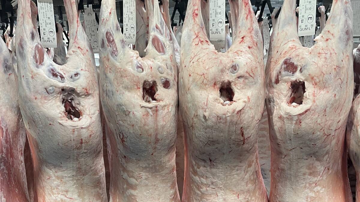 Outback MPM lamb carcases. Picture supplied