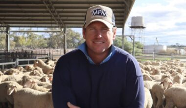 Outback MPM stud principal Richie Steele is focused on the profit drivers for clients - good quality wool, quick turn off of lambs, and good carcase. Picture supplied