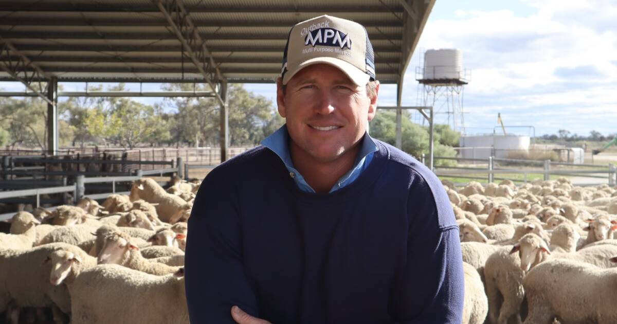 Outback MPM stud principal Richie Steele is focused on the profit drivers for clients - good quality wool, quick turn off of lambs, and good carcase. Picture supplied