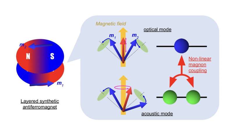 Rabi-like splitting arising from nonlinear interactions between magnons in a synthetic antiferromagnet