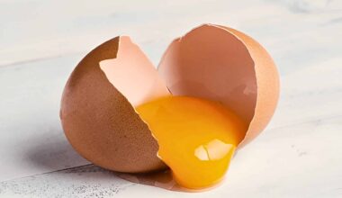 Raw Broken Chicken Egg