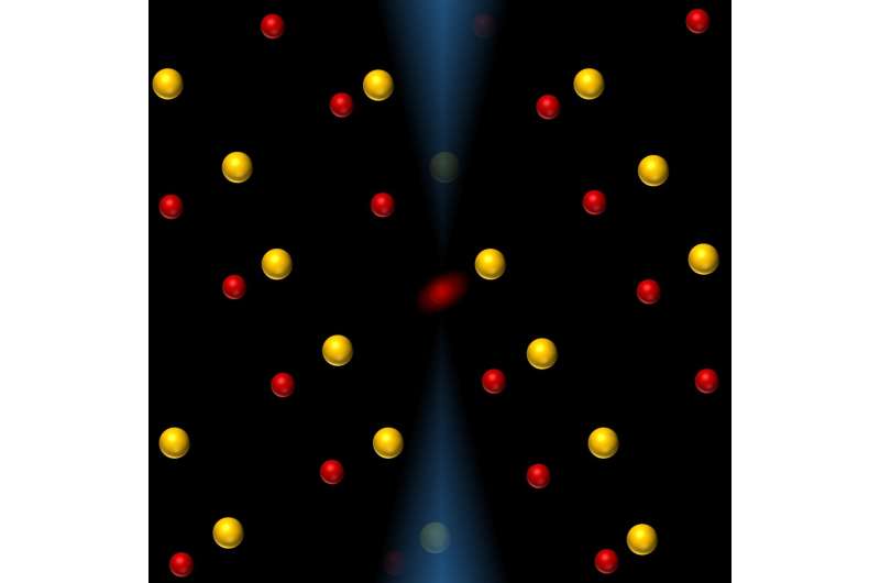 Researchers document first images of the atomic fingerprint of heat in quantum materials
