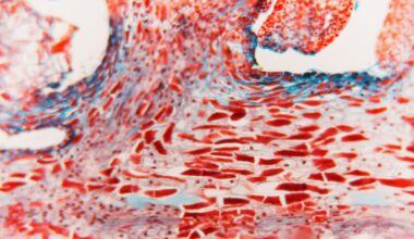 New tool allows researchers to track how mutations arise in tissues — Radcliffe Department of Medicine