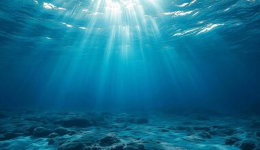 Revolutionary satellite data unveils stunning detail of how oceans absorb carbon