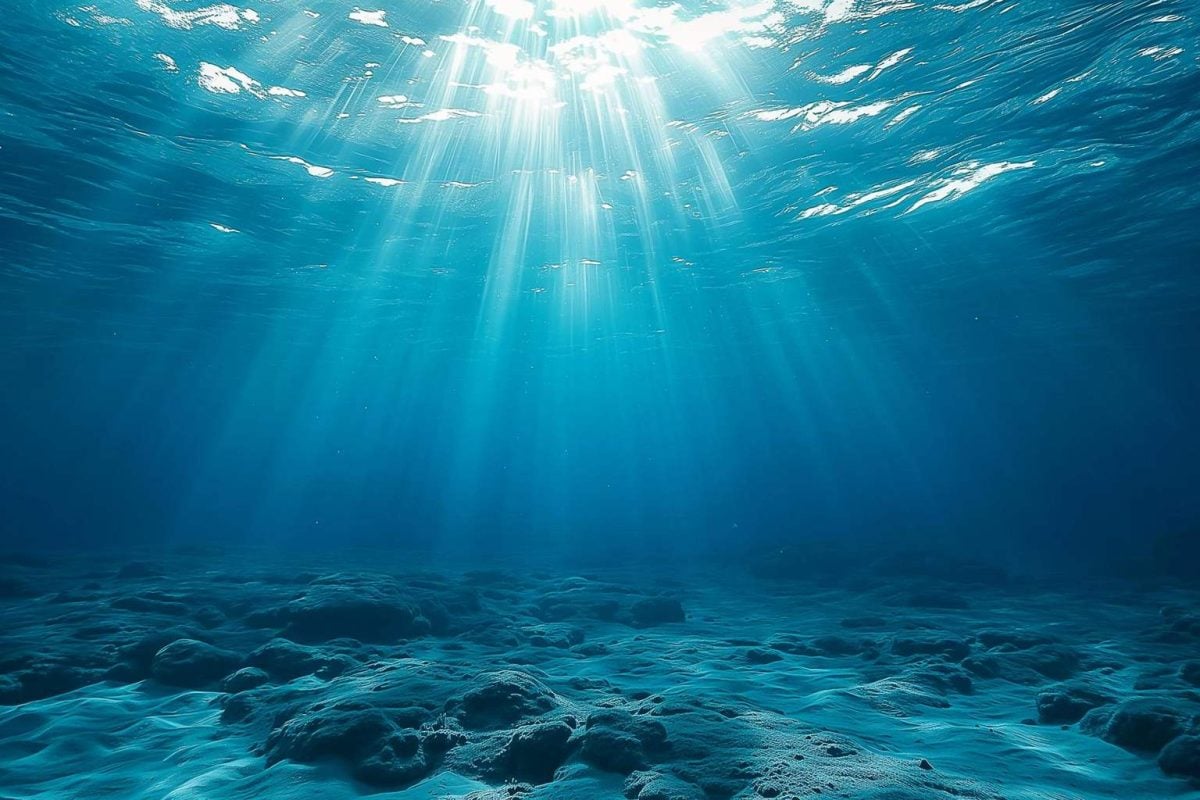 Revolutionary satellite data unveils stunning detail of how oceans absorb carbon