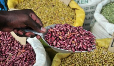 Scaling nutrition impact: Schools serve up High-Iron Beans