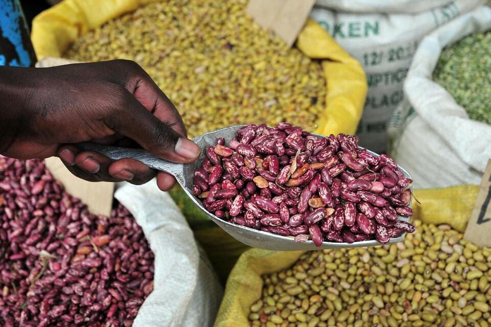 Scaling nutrition impact: Schools serve up High-Iron Beans