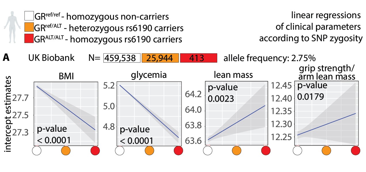 Two-Faced Gene Variant Appears Good for Men, Bad for Women