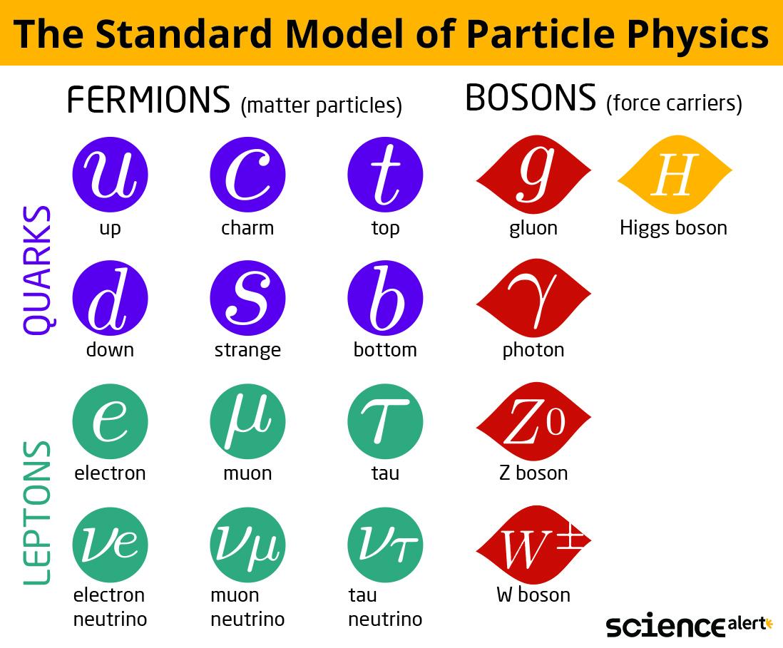 Types of particles: fermions and bosons