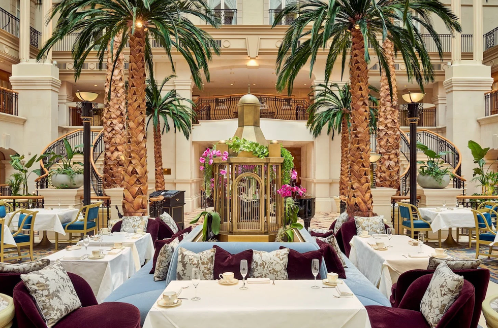 the winter garden at the landmark london