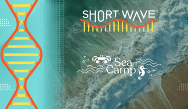 Climate change is shifting ocean currents. Here's why : Short Wave : NPR
