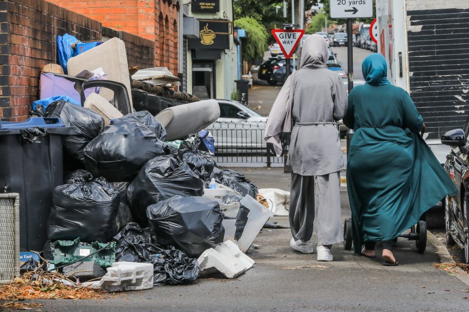 Overflowing bins and piles of rubbish on a Birmingham street during a bin strike.