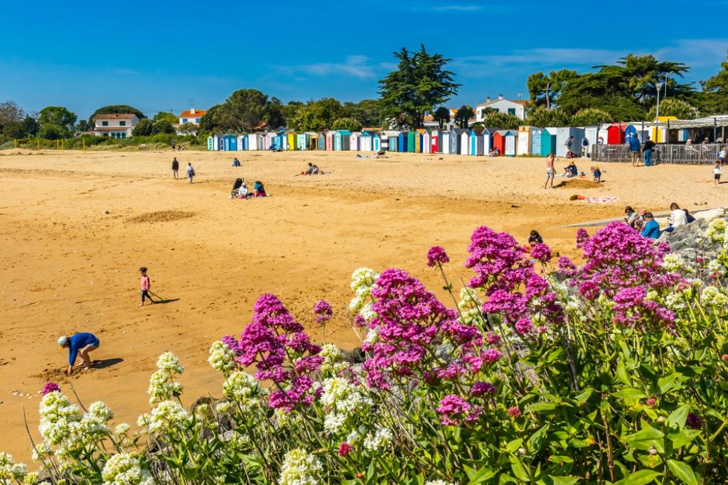 Île d’Oléron: France’s Hidden Gem