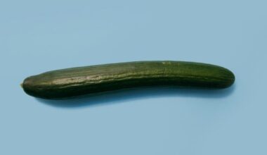 Silent Mutation Makes Cucumbers Longer